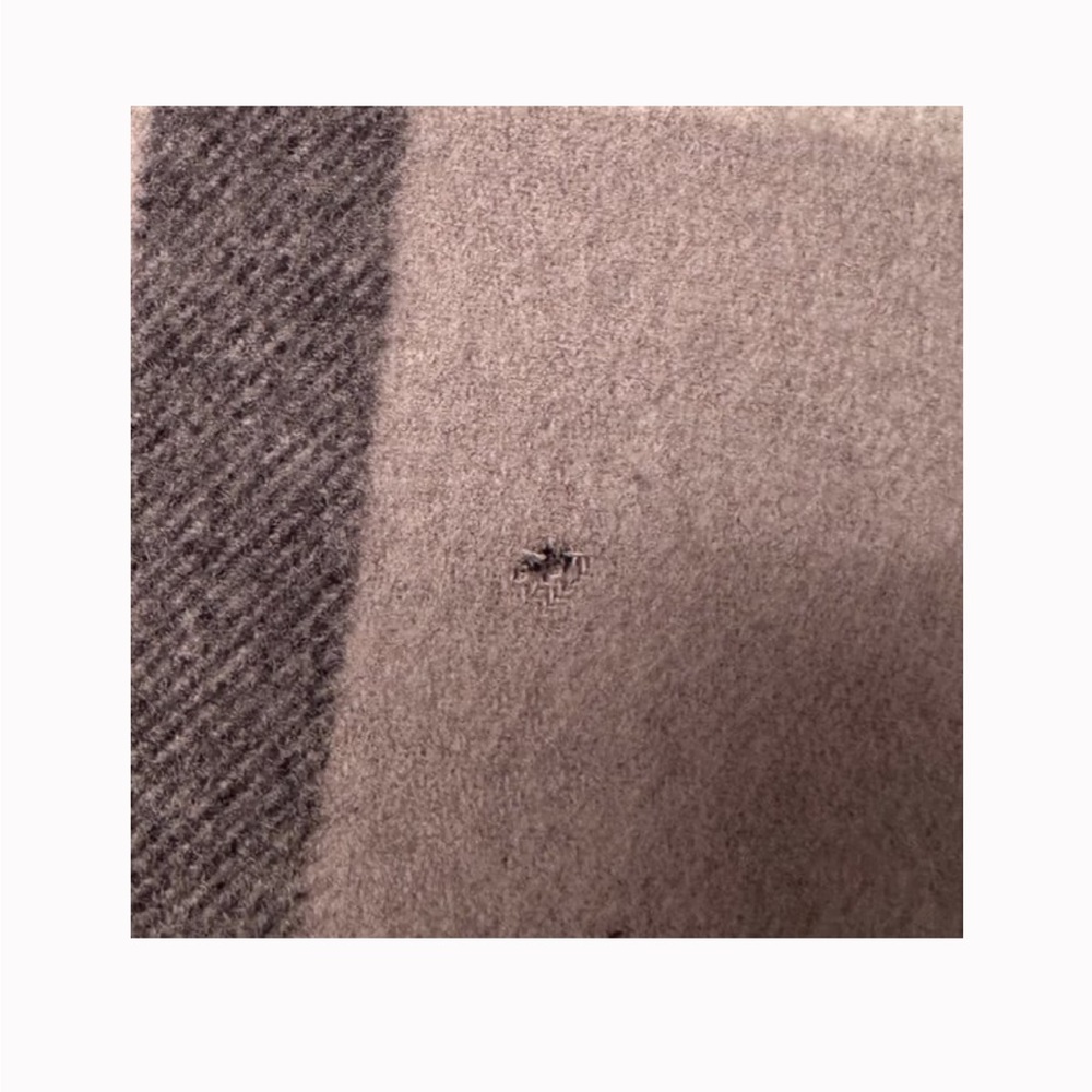 Burberry Scarf - Picture 4 of 4